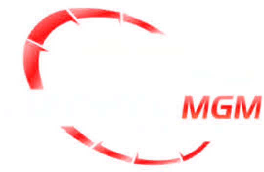 CarcheckMGM